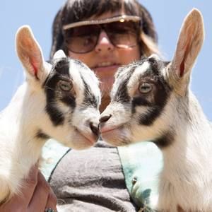 Meet your Posher, Ana